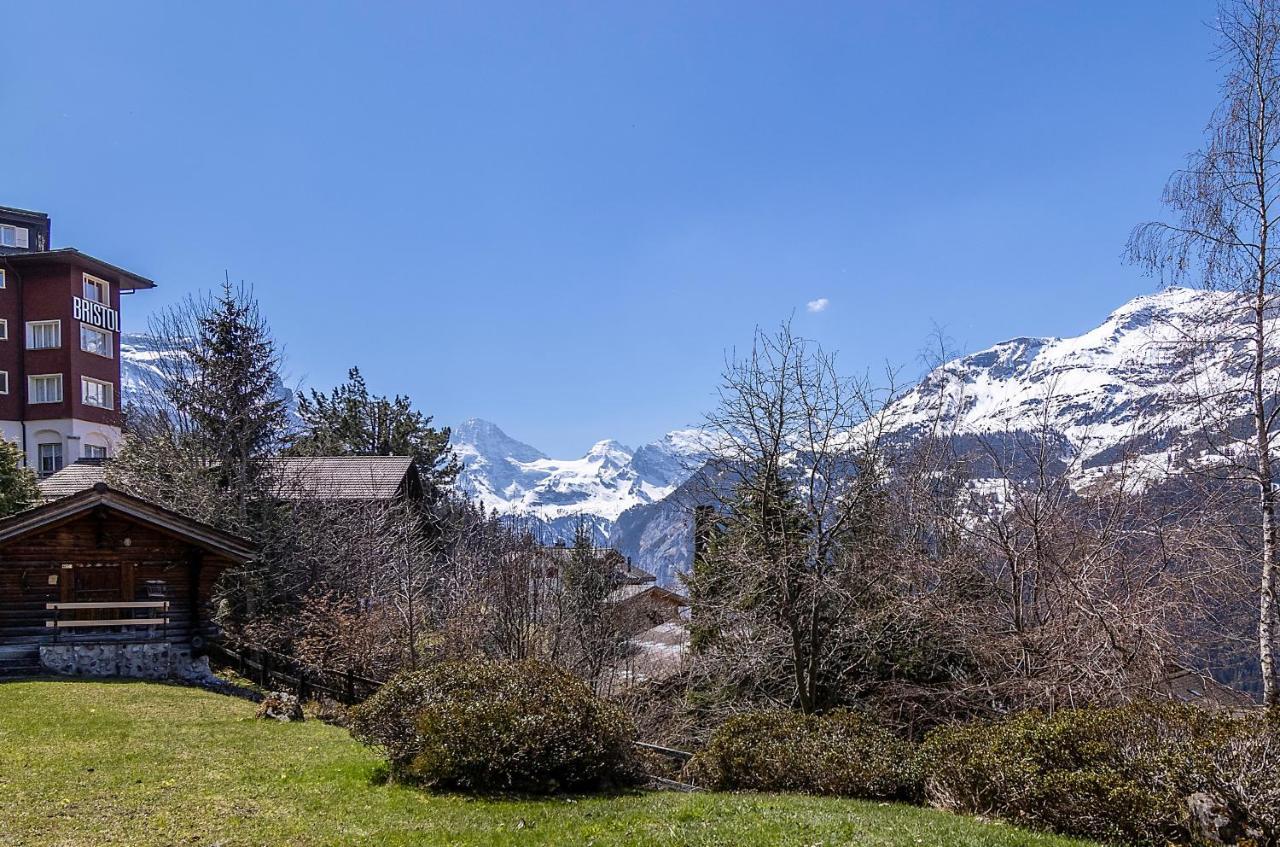 Chalet Steingaertli 1 เวงเงน ภายนอก รูปภาพ